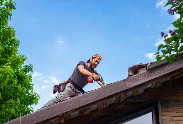 Best Tile Roofing Installation  in Corrales, NM